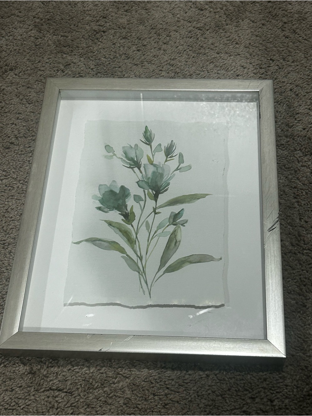 Framed Botanical Watercolor Wall Art in Soft Greens